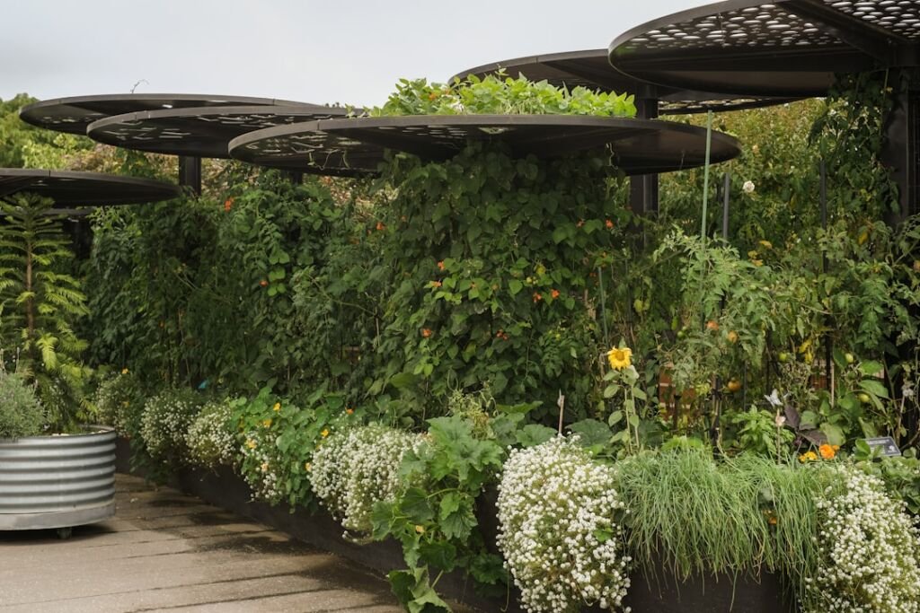 Outdoor planters and landscape products